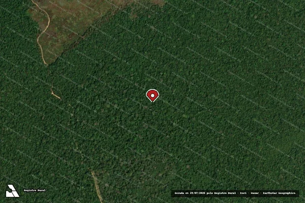 Imagem de satélite de Infração Ambiental em Apuí - AM (marcador da localização)
