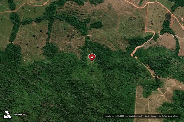 Imagem de satélite de Infração Ambiental em Paranaíta - MT (marcador da localização)