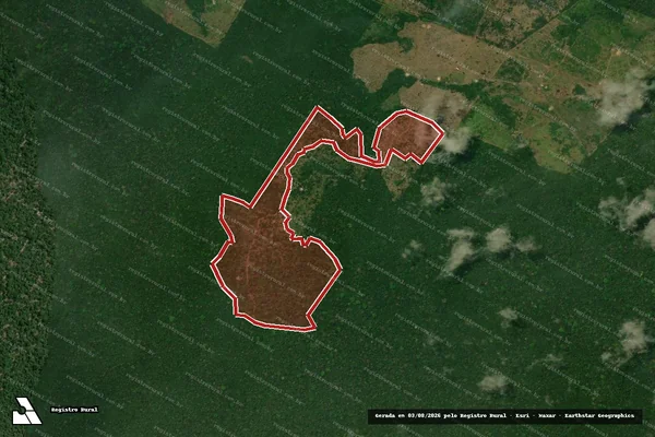 Imagem de satélite de Infração da Flora em Caracaraí - RR