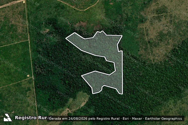 Imagem de satélite de Infração da Flora em Apuí - AM