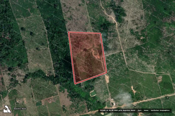 Imagem de satélite de Infração da Flora em Novo Progresso - PA
