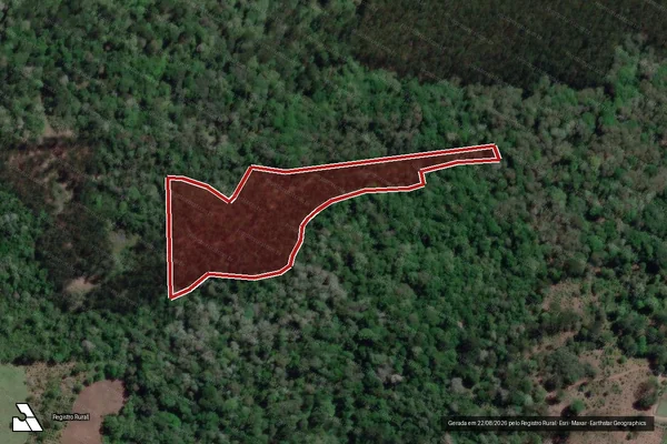Imagem de satélite de Infração Ambiental em Porto Vitória - PR