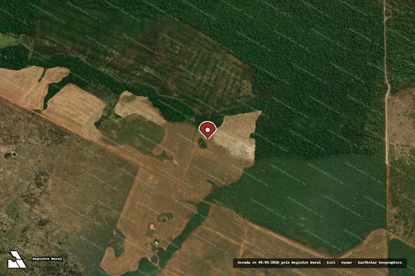 Imagem de satélite de Infração da Flora em Marcelândia - MT (marcador da localização)