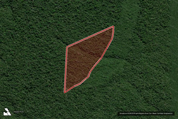 Imagem de satélite — Embargo IBAMA — Infração da Flora - Apuí/AM