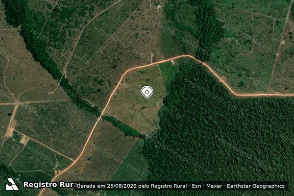 Imagem de satélite de Infração Ambiental em Porto Velho - RO (marcador da localização)