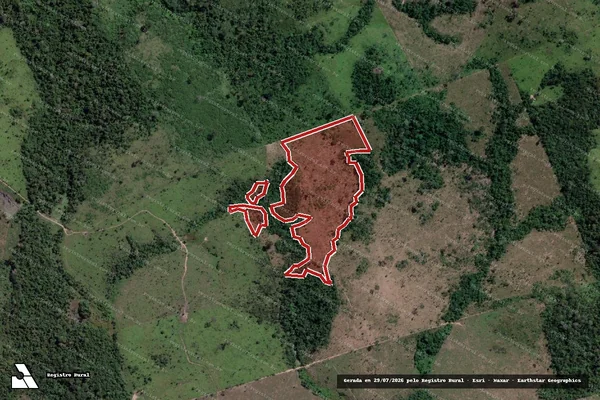 Imagem de satélite de Infração da Flora em Novo Progresso - PA