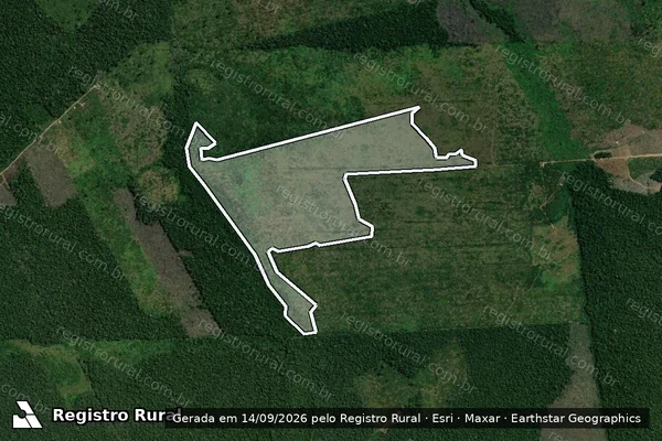Imagem de satélite — Embargo IBAMA — Infração Ambiental - Humaitá/AM