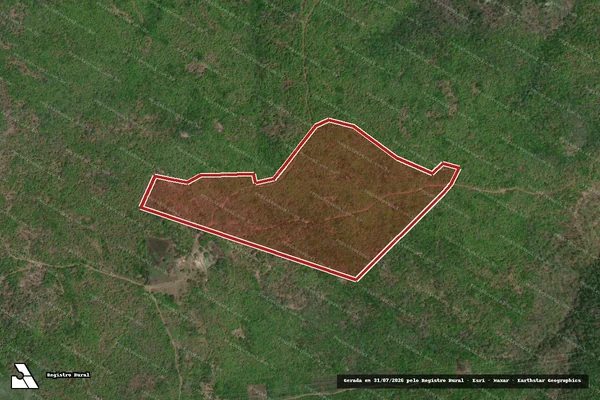 Imagem de satélite de Infração da Flora em Canindé de São Francisco - SE