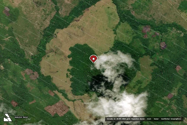 Imagem de satélite de Infração Ambiental em Óbidos - PA (marcador da localização)