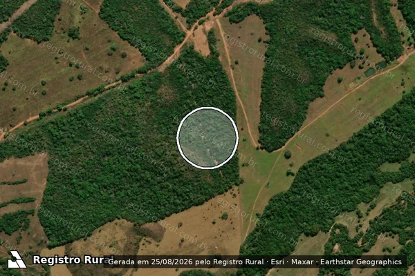 Imagem de satélite de Infração Ambiental em Poxoréo - MT