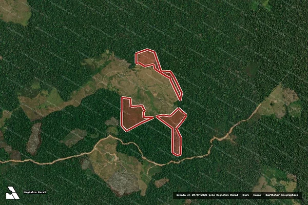 Imagem de satélite de Infração da Flora em Feijó - AC