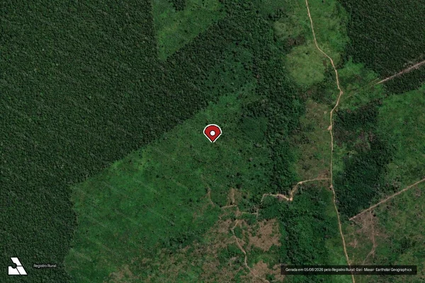 Imagem de satélite de Infração da Flora em Humaitá - AM (marcador da localização)