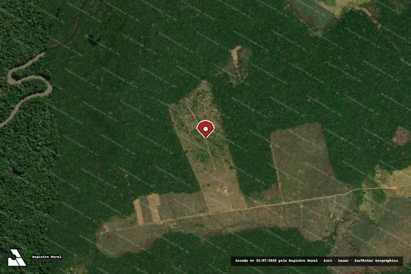 Imagem de satélite de Infração da Flora em Canutama - AM (marcador da localização)