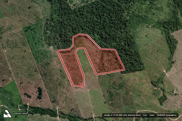 Imagem de satélite de Infração da Flora em Novo Progresso - PA