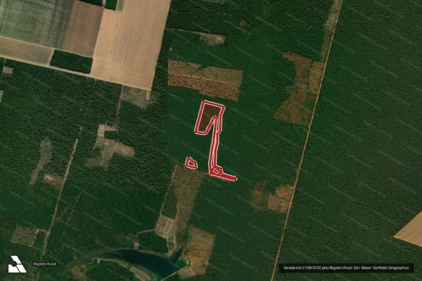 Imagem de satélite de Infração da Flora em Querência - MT
