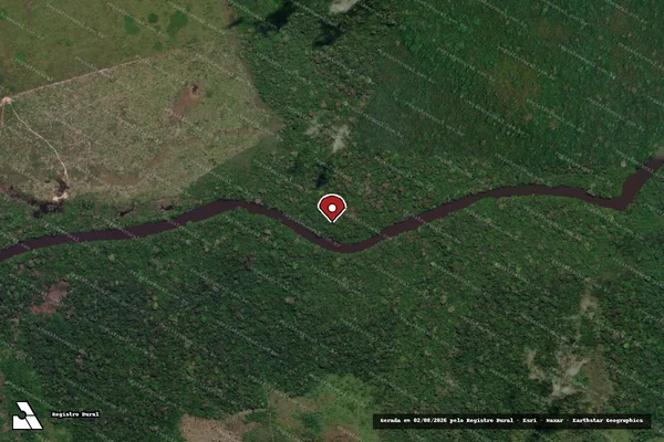 Imagem de satélite de Infração Ambiental em Novo Progresso - PA (marcador da localização)