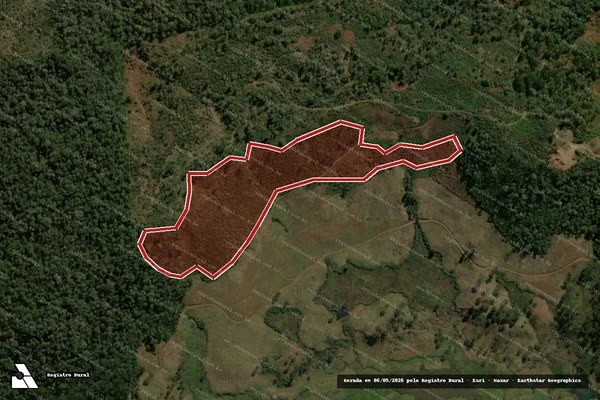 Imagem de satélite de Infração da Flora em General Carneiro - PR