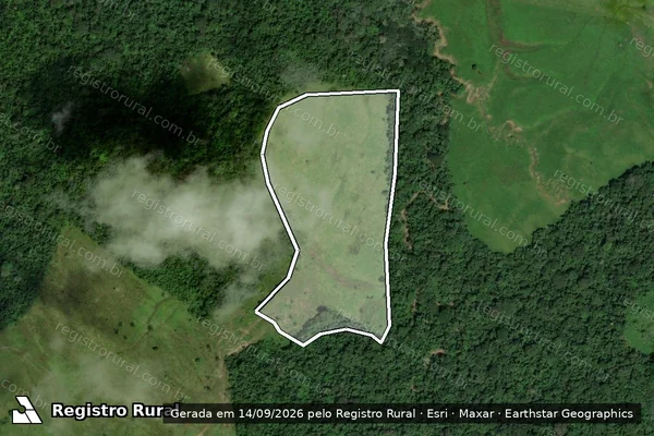 Imagem de satélite — Embargo IBAMA — Infração Ambiental - Feijó/AC