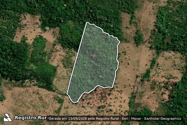 Imagem de satélite de Infração da Flora em São Félix do Xingu - PA