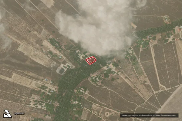 Imagem de satélite de Infração Ambiental em Boa Vista - RR