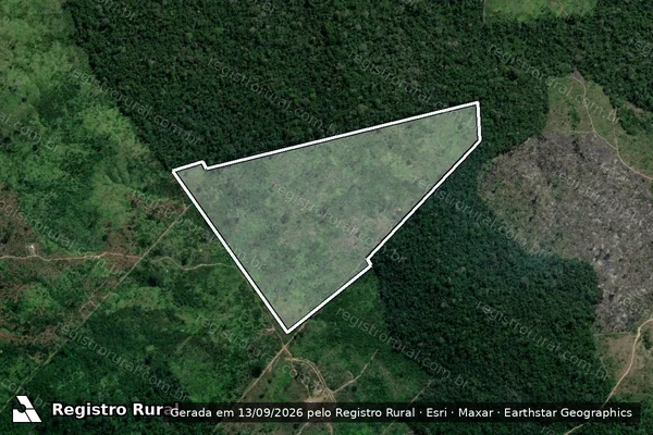Imagem de satélite de Infração da Flora em Pacajá - PA