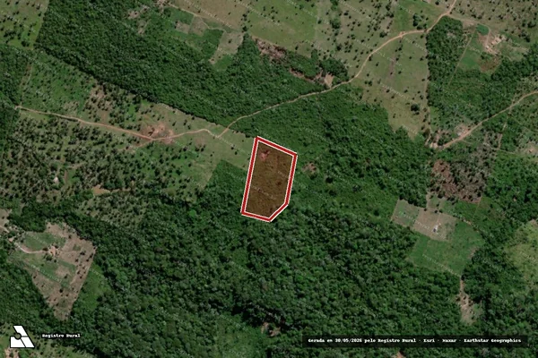 Imagem de satélite — Embargo IBAMA — Infração da Flora — Sítio Novo do Tocantins/TO