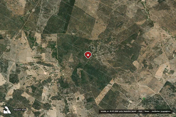 Imagem de satélite — Embargo IBAMA — Infração da Flora — Santana do Ipanema/AL
