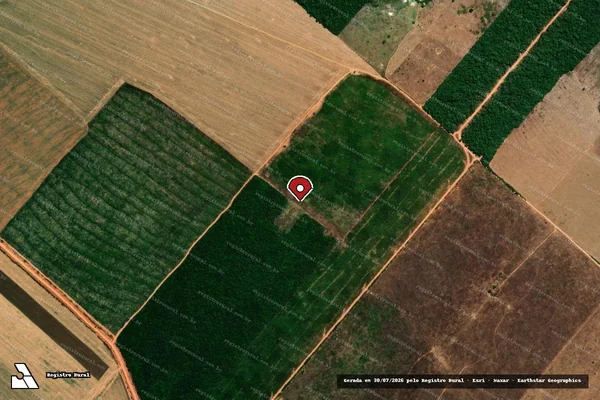 Imagem de satélite de Infração Ambiental em Marcelândia - MT (marcador da localização)