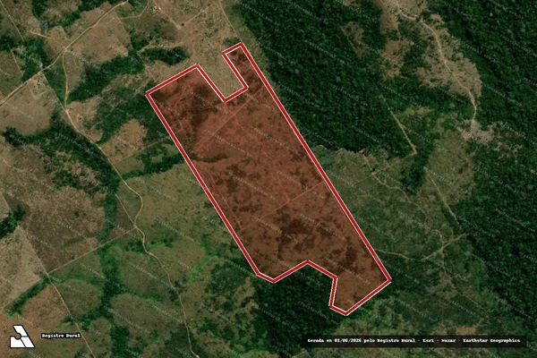 Imagem de satélite de Infração da Flora em Aripuanã - MT