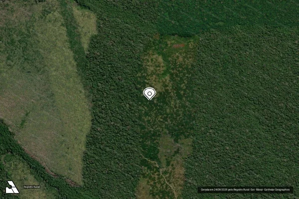 Imagem de satélite de Infração Ambiental em Manicoré - AM (marcador da localização)