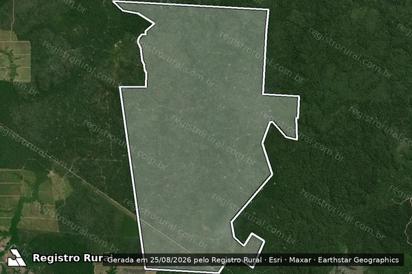 Imagem de satélite — Embargo Ambiental — Ipixuna do Pará/PA