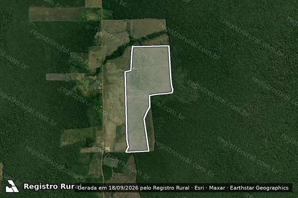 Imagem de satélite de Infração Ambiental em Humaitá - AM