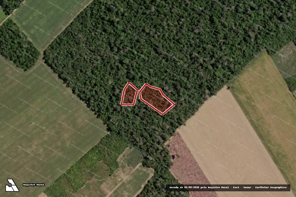 Imagem de satélite de Infração da Flora em Santarém - PA