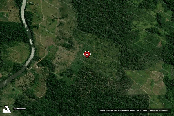 Imagem de satélite — Embargo IBAMA — Infração da Flora - Portel/PA