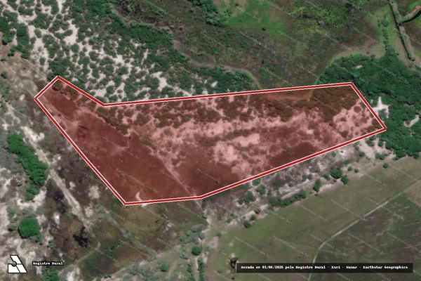Imagem de satélite — Embargo IBAMA — Infração Ambiental - Aracruz/ES