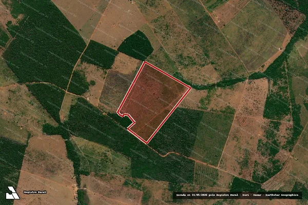 Imagem de satélite de Infração da Flora em Brasnorte - MT