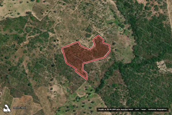 Imagem de satélite — Embargo IBAMA — Infração da Flora — Neópolis/SE