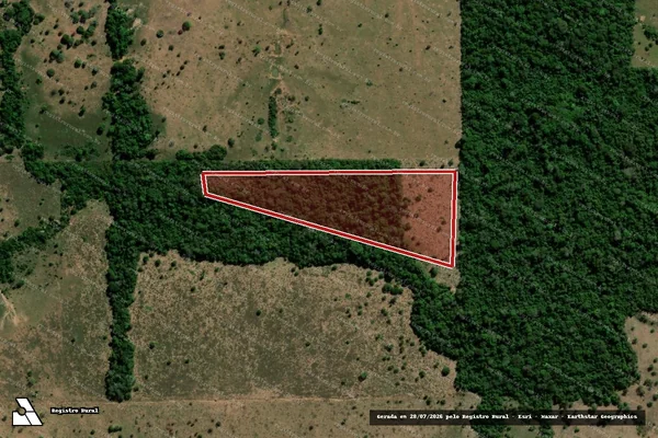 Imagem de satélite de Infração Ambiental em Rolim de Moura - RO