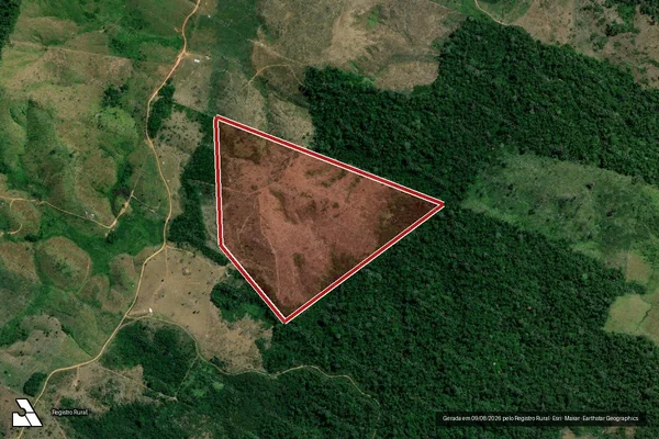 Imagem de satélite de Infração da Flora em Pacajá - PA