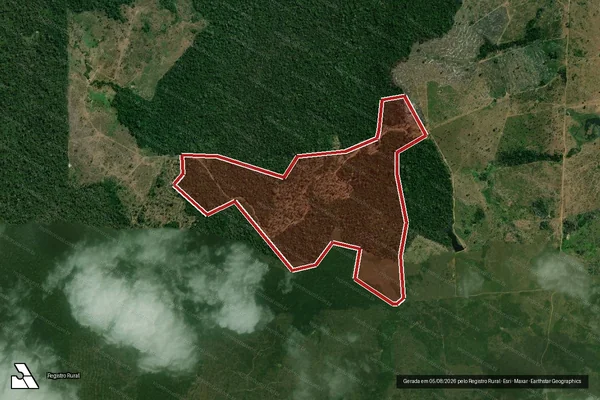 Imagem de satélite — Embargo IBAMA — Infração da Flora - Anapu/PA