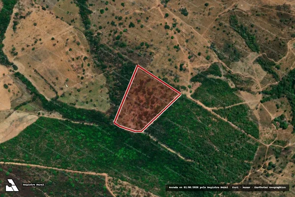 Imagem de satélite de Infração da Flora em Colinas do Sul - GO