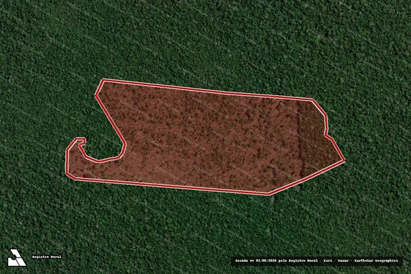 Imagem de satélite de Infração da Flora em Canutama - AM