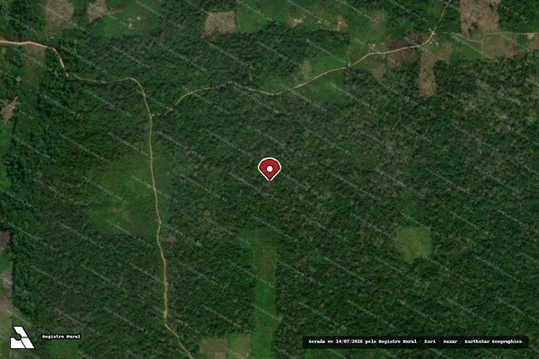 Imagem de satélite — Embargo IBAMA — Infração da Flora — Monte Alegre/PA