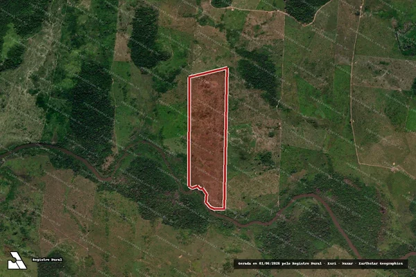 Imagem de satélite de Infração da Flora em Altamira - PA