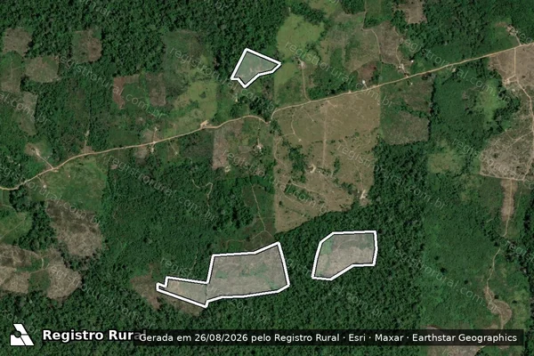 Imagem de satélite de Infração da Flora em Caroebe - RR