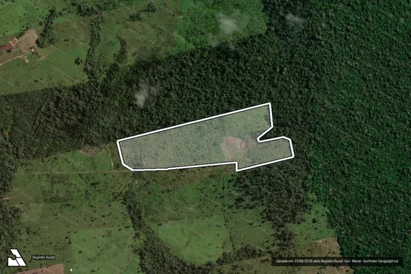 Imagem de satélite — Embargo IBAMA — Infração da Flora - Uruará/PA
