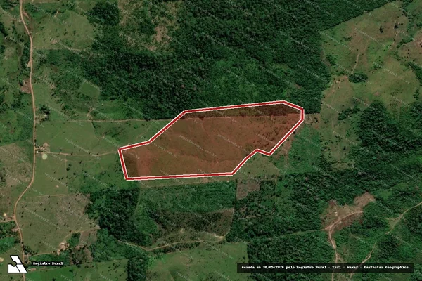 Imagem de satélite de Infração da Flora em Apuí - AM