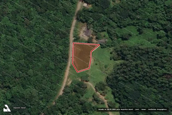 Imagem de satélite de Infração Ambiental em Palhoça - SC