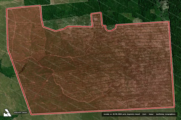 Imagem de satélite de Infração da Flora em Tomé-Açu - PA