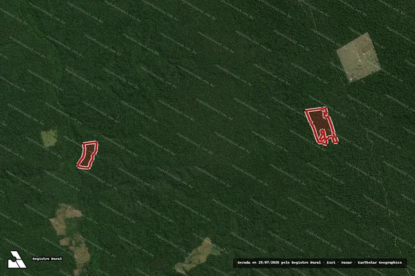 Imagem de satélite de Infração da Flora em Uruará - PA